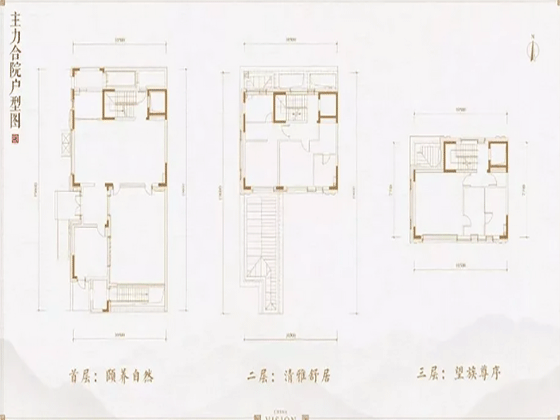 中建·国望府