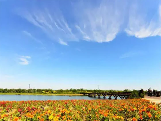 北科建水岸华府 